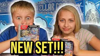 Открытие Pok&eacute;mon TCG: STELLAR CROWN! [Битва стаи PokeTwins]