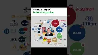 world's largest hotel companies share market news Business tips #hotel #businessnews #stocks #facts