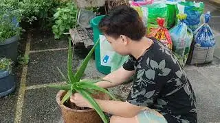Nurture your plants and the planet with our biodegradable coco pots &mdash; eco-friendly, sustainable. 🌱