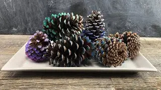 Step-by-Step Tutorial: DIY Ombre Pine Cones From The Crafty Lumberjacks