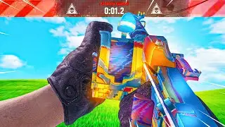 TYPE 11 = BEST LMG on VANGUARD! (Best TYPE 11 Class Setup)
