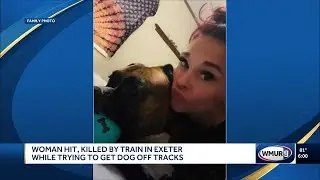 Woman hit, killed by train in Exeter while trying to get dog off tracks