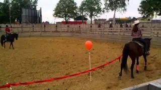 Miasteczko Twinpigs -- Westernowy Park Rozrywki w Żorach