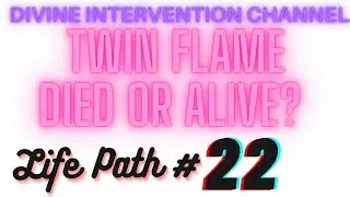 Life Path 22: DM DF who is 22, What is the Purpose and why?