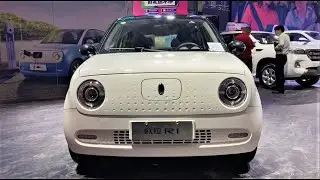 2020 GreatWall ORA R1 Walkaround&mdash;China Auto Show&mdash;2020款长城欧拉R1，外观与内饰实拍