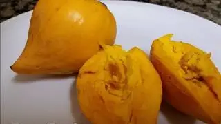 18 Exotic Fruits Grown In Barbados
