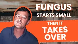How to Prevent Crawl Space Fungus? | Crawl Space Vapor Barrier