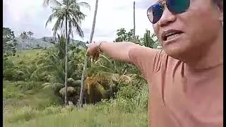 BINDOY local spot for relaxing #travel #highlights #funny #philippines