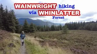 Wainwright Fell hiking from Whinlatter Forest / Best of the Lake District
