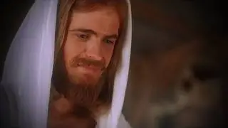 He Lives: Testimonies of Jesus Christ