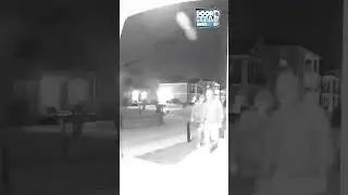 Frat Pledges Steal Sorority Flag (Caught on Ring Doorbell)