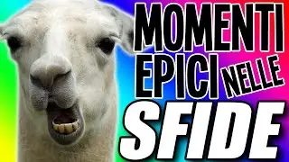 MOMENTI DIVERTENTI [Speciale 10.000 Iscritti]
