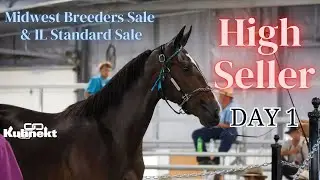 Highest Seller from Day 1 at the 2024 Midwest Breeders Sale & IL Standard Sale