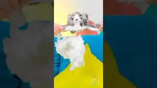 Wow! ❤️ Learning Animals for Kids 😻