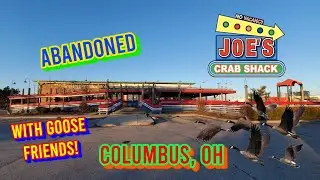 Abandoned Joe's Crab Shack - Columbus, OH *WITH GOOSE FRIENDS!*