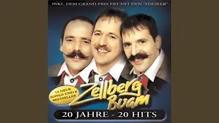 Edlziller Party-Kn&uuml;ller (Single Version)