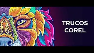 52/54 - Zoom para ver todos los elementos | Tip CorelDraw 2024