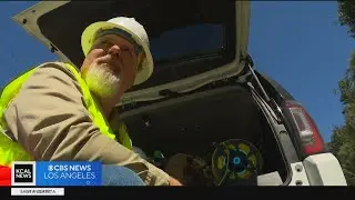 A look into some Los Angeles Department of Water and Power field work