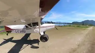Maule with Bush Wheels