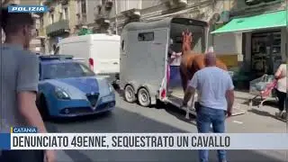 Catania. Denunciato 49enne, sequestrato un cavallo