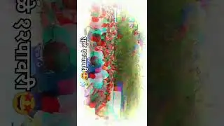 dhule 12 pavali(धुळे १२पावली) #Dhule#khandeshi #shortvideo