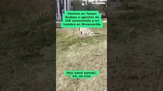 "¡Es propiedad privada!": Graban tenso enfrentamiento con agentes de ICE en Brownsville / La Opinión