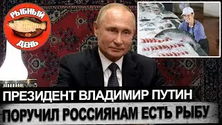 Рыбаки спасли косуль / Чуланов продал лодку Илону Маску / Новости рыбалки / рыбный день