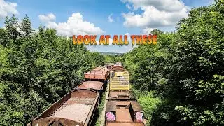 ABANDONED RAILWAY SIDINGS - TRAIN GRAVEYARD (ROLLING STOCK)