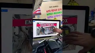 BMW 4 Series Why Radiator Fan Not Working Fuse #bmw #f32 #bmwf33 #f36 #shorts #viral #fix #problem