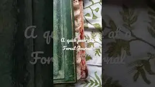 A quick glimpse at my Forest Journal made after completing Nik the Booksmith's Forest Lore course :)