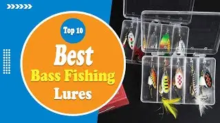Best Bass Fishing Lures in 2022 - Top Selection's & Reviews!