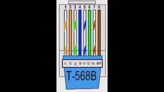rj 45 connector connection lan cable