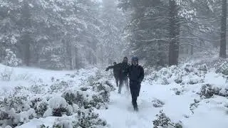 A Snowy Day on Angelus Oaks