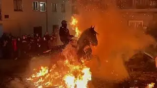 Why These Horses are Prancing Through Fire