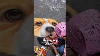 Amazing Dog Chalk Art! Session Road August 2024! #dog #chalkart #sessionroad