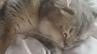 satpam ku sampai ketiduran nunggu aku kerja