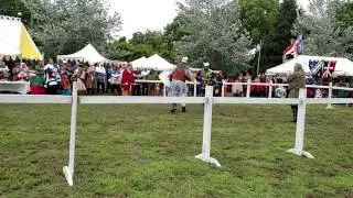 Atlantia Crown Tournament Spring 2017 10/X