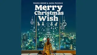 Merry Christmas Wish