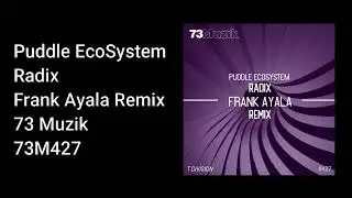 Puddle ecoSystem - Radix (Frank Ayala Remix)