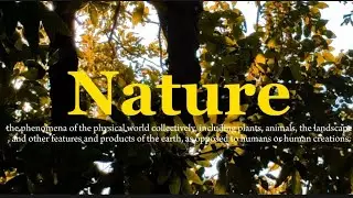 Nature Cinematic Video 🌼 || SHOT ON POCO M6 PRO 5G ||