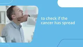 Fertility-Preserving Treatments for Early Cervical Cancer Explained