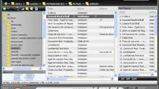 Very good free audio and mp3 player media monkey.flv