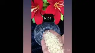 Rice gel over night cream...........