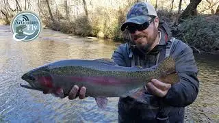 S1, Ep 88: WNC Fishing Report with the Nantahala Sasquatch
