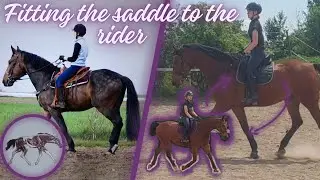 How to fit a saddle for the rider, not just the horse?  #horseriding