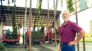 Producing Hops at Newhouse Family Farm | Sunnyside, WA | Washington Grown
