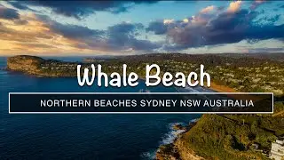 Australia - Whale Beach 4K Drone Flyaround