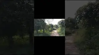FORESTS OF DELHI। BEAUTIFUL FOREST OF DELHI।