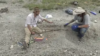 История погони: охота на динозавров в Монтане &mdash; Two Medicine Formation