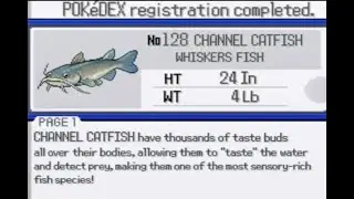 Catching a Sick Channel Catfish but it's a Pok&eacute;mon Battle !!!
